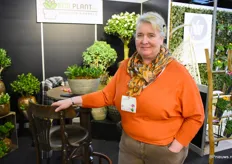 Francine Zwinkels van SCD Plant bv met diverse varieteiten uit haar Crassula kwekerij.